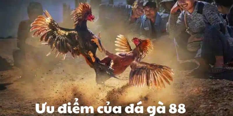 Những ưu điểm nổi bật mà sảnh cược này mang lại